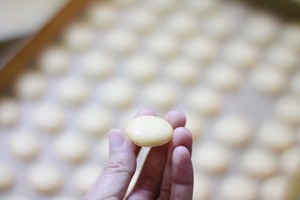 鸡蛋小饼干