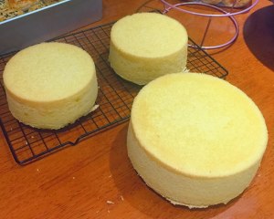 6寸，8寸，10寸戚风蛋糕配方（已更新）